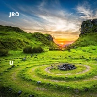 Image of J. Ro linking to their artist page due to link from them being at the top of the main table on this page