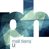 Image of Mell Tierra linking to their artist page due to link from them being at the top of the main table on this page
