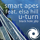 Image of Smart Apes linking to their artist page due to link from them being at the top of the main table on this page