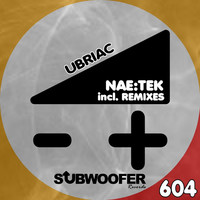 Image of Nae-tek linking to their artist page due to link from them being at the top of the main table on this page