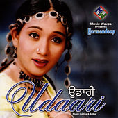 Thumbnail for the Harmandeep - Udaari link, provided by host site
