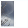 Thumbnail for the Domenico Sciajno - Udhv Gibel link, provided by host site