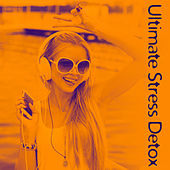 Thumbnail for the White Noise Research - Ultimate Stress Detox link, provided by host site