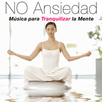 Thumbnail for the Relax 4 Relax - Último Tren a Casa link, provided by host site