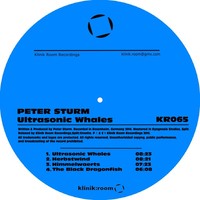 Thumbnail for the Peter Sturm - Ultrasonic Whales link, provided by host site