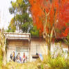 Thumbnail for the Hiro - Umizuki link, provided by host site