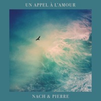 Thumbnail for the Nach - Un appel à l'amour link, provided by host site