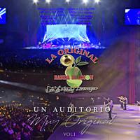 Thumbnail for the La Original Banda El Limón de Salvador Lizárraga - Un Auditorio Muy Original, Vol. 1 link, provided by host site