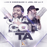 Thumbnail for the Luis R Conriquez - Una Corta link, provided by host site