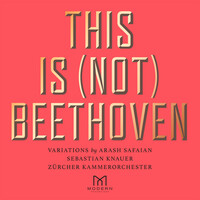 Thumbnail for the Ludwig van Beethoven - Una Fantasia (String Orchestra Version) link, provided by host site