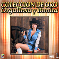 Thumbnail for the Banda Sinaloense Los Recoditos - Una Noche Cualquiera link, provided by host site