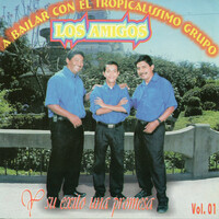 Thumbnail for the Los Amigos - Una Promesa link, provided by host site