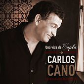 Thumbnail for the Carlos Cano - Una Vida De Copla link, provided by host site