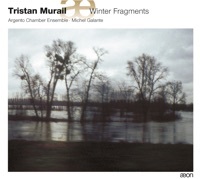 Thumbnail for the Erin Lesser - Unanswered Questions Pour Flûte link, provided by host site