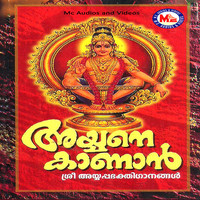 Thumbnail for the Chengannur Sreekumar - Unarunaroo link, provided by host site