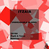 Thumbnail for the Itzaia - Unbreakable Alarms link, provided by host site