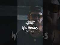 Thumbnail for the Chris Janson - Unbridled and untamed. My new album, Wild Horses, is out now on all streaming platforms! link, provided by host site