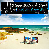 Thumbnail for the Steve Brian - Unchain Your Soul link, provided by host site