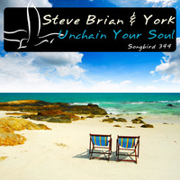 Thumbnail for the Steve Brian - Unchain Your Soul link, provided by host site