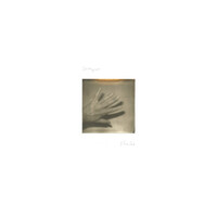 Thumbnail for the Grouper - Unclean mind link, provided by host site