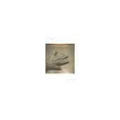 Thumbnail for the Grouper - Unclean mind link, provided by host site