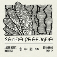 Thumbnail for the André Moret - Uncommon Ends link, provided by host site