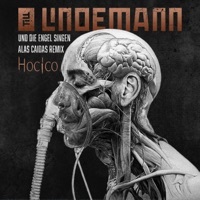 Thumbnail for the Till Lindemann - Und die Engel singen (Alas Caidas Remix) link, provided by host site