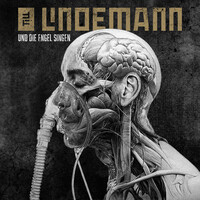 Thumbnail for the Till Lindemann - Und die Engel singen link, provided by host site