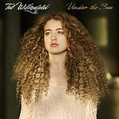 Thumbnail for the Tal Wilkenfeld - Under The Sun link, provided by host site