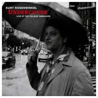 Thumbnail for the Kurt Rosenwinkel - Undercover (Live at the Village Vanguard) link, provided by host site