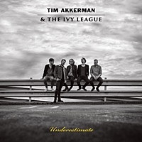 Thumbnail for the Tim Akkerman - Underestimate link, provided by host site