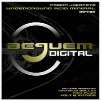 Thumbnail for the Fabian Jakopetz - Underground Acid Minimal link, provided by host site