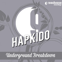 Thumbnail for the Hapkido - Underground Breakdown link, provided by host site