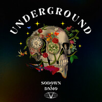 Thumbnail for the SoDown - Underground link, provided by host site