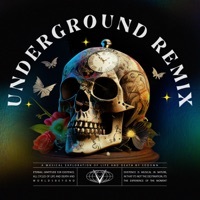 Thumbnail for the SoDown - Underground (Kyral x Banko Remix) link, provided by host site