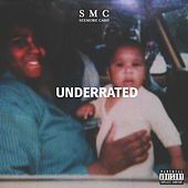 Thumbnail for the SMC - Underrated link, provided by host site