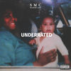 Thumbnail for the SMC - Underrated link, provided by host site