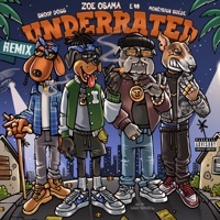 Thumbnail for the Zoe Osama - Underrated (Remix) link, provided by host site