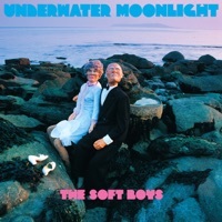 Thumbnail for the The Soft Boys - Underwater Moonlight ((45th Anniversary Remaster)) link, provided by host site