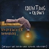 Thumbnail for the Counting Crows - Underwater Sunshine (Or What We Did on Our Summer Vacation) link, provided by host site