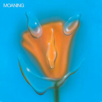 Thumbnail for the Moaning - Uneasy Laughter link, provided by host site
