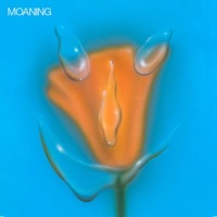 Thumbnail for the Moaning - Uneasy Laughter link, provided by host site