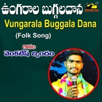 Thumbnail for the Venkatesh - Ungarala Buggaladana link, provided by host site
