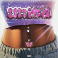 Thumbnail for the Gonzalez - UNICA link, provided by host site