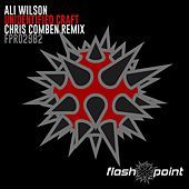 Thumbnail for the Ali Wilson - Unidentified Craft (Chris Comben Remix) link, provided by host site