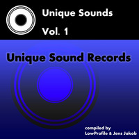 Thumbnail for the Lowprofile - Unik - Zutt Muziker & Carlos Martz Remix link, provided by host site