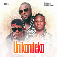 Thumbnail for the KB - Unikondeko link, provided by host site