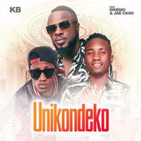 Thumbnail for the KB - Unikondeko link, provided by host site