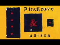 Thumbnail for the Pinegrove - Unison link, provided by host site