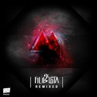 Thumbnail for the FiLiBuStA - Unity In Diversity - Gaszia Remix link, provided by host site